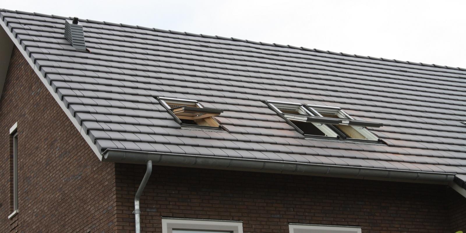 Zilvervisjes bestrijden met ventileren